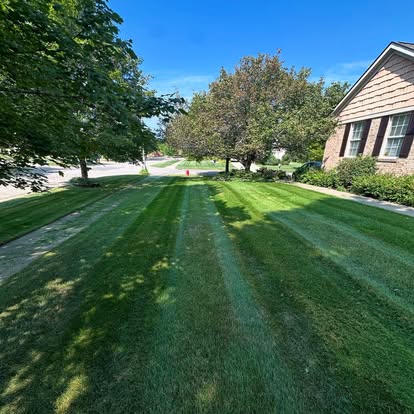 Lawn mowing and edging — TurfBros