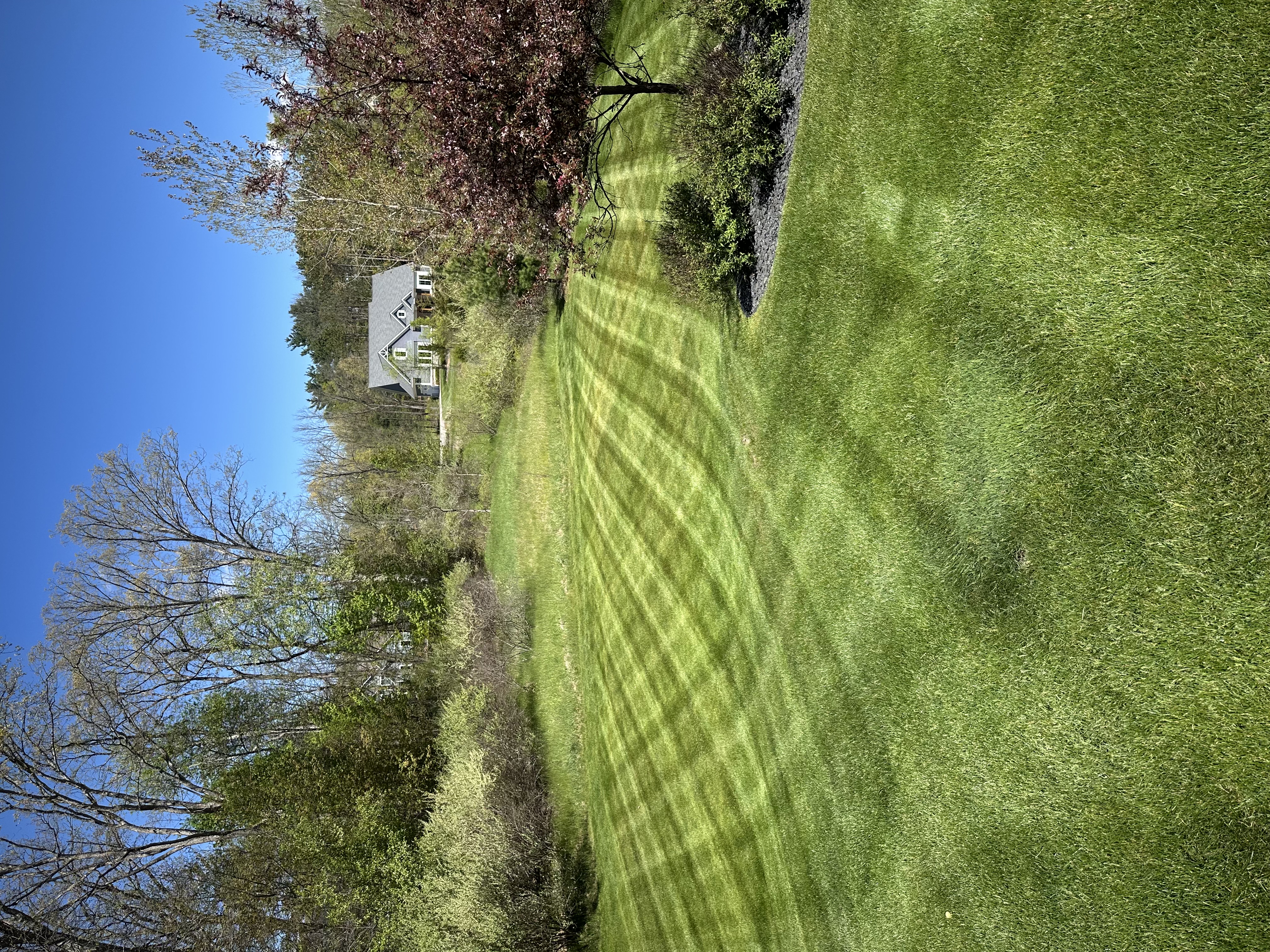 Healthy maintained lawn — TurfBros